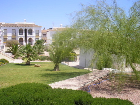 Communal Gardens